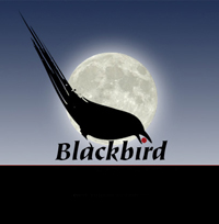 Blackbird